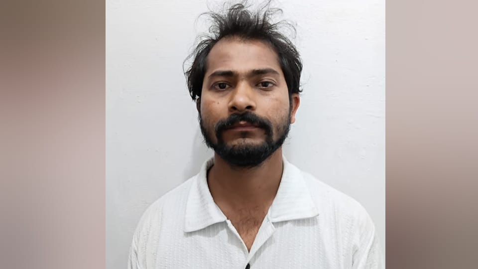 Meerut nurse murder over murdered nurse in hospital by administering poisonous IV drip with help of riend