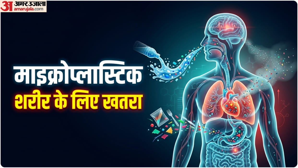microplastics in human body know its health risk and how to get rid of this