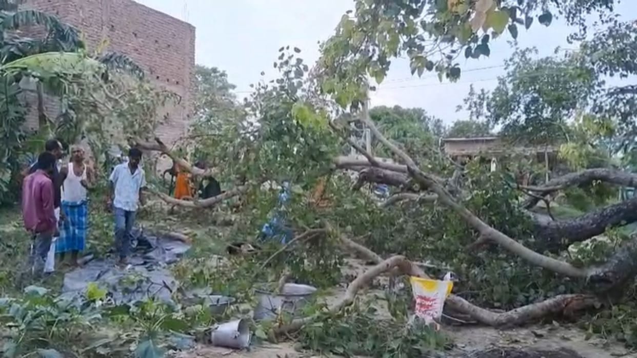 tree falls during puja two children killed several injured muzaffarpur news