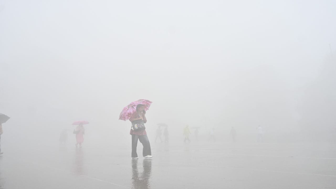 शिमला में बारिश, छाई घनी धुंध।