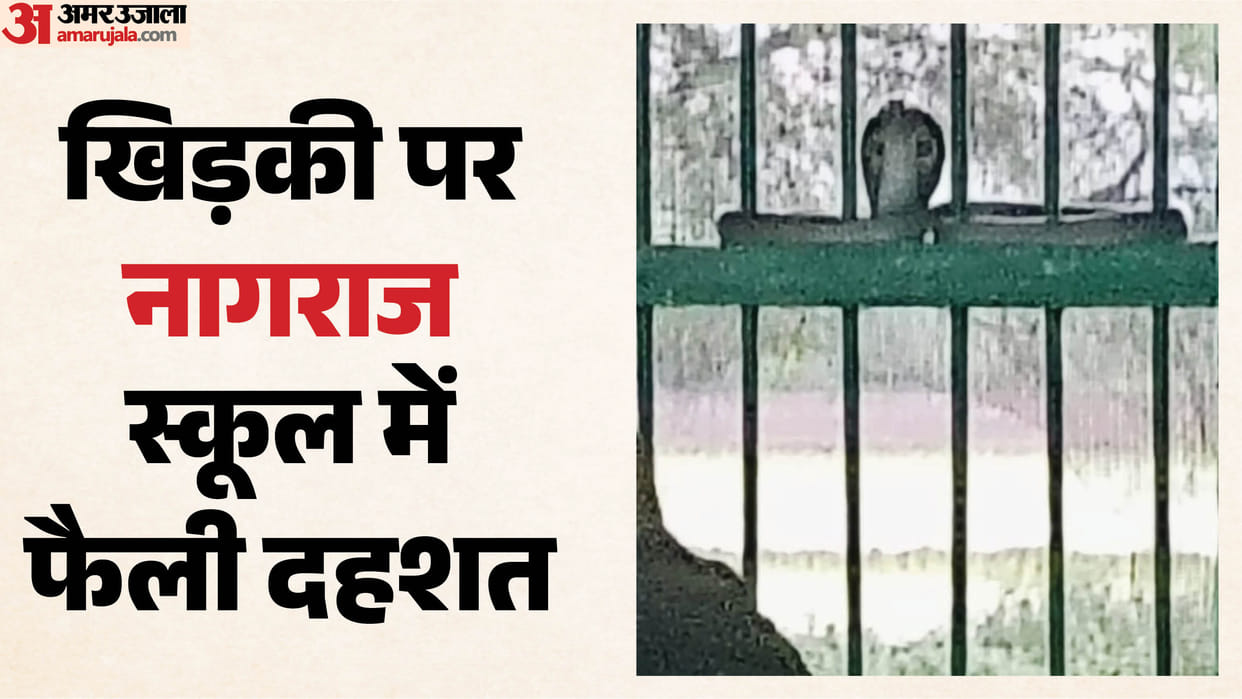 Snake coils around school window in Budaun students remain in a state of panic for two hours