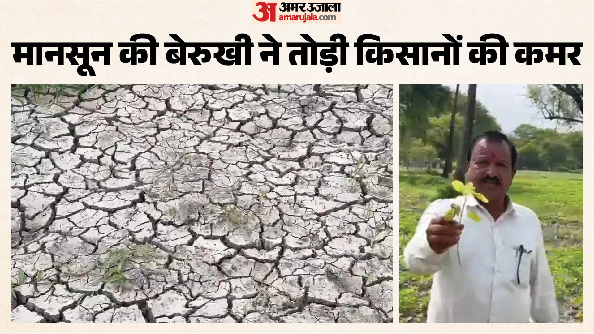 उज्जैन में बारिश ने बढ़ाई किसानों की चिंता