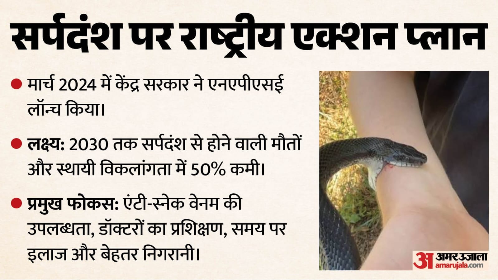 एक्शन प्लान