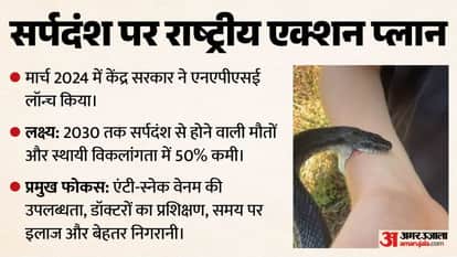 How Deadly Is the Krait Snake Allegedly Used by Wife to Kill Husband? How Many Snakebite Cases Occur Every Yea