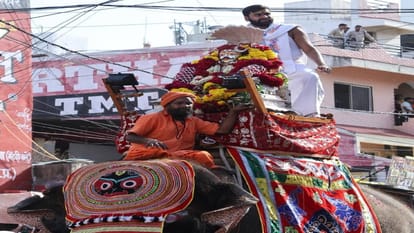 Crisis Before Aug 10: Is Shyamu Elephant Really Sick Or Is It A Conspiracy Against Mahakal's 46