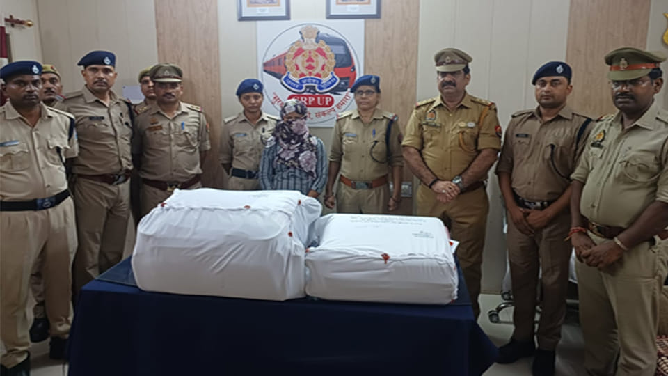 Kanpur: 34.49 kg of cannabis seized at Central Station; female smuggler arrested
