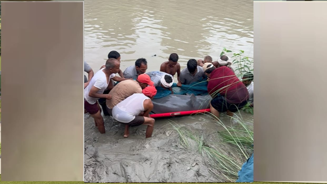 After being taken out of the canal, it was released into the Rapti River in one hour and five minutes.