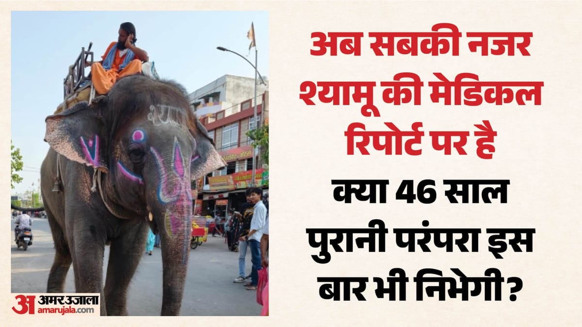'श्यामू' पर घमासान, हाथी की सेहत को लेकर वन विभाग और मालिक आमने-सामने
