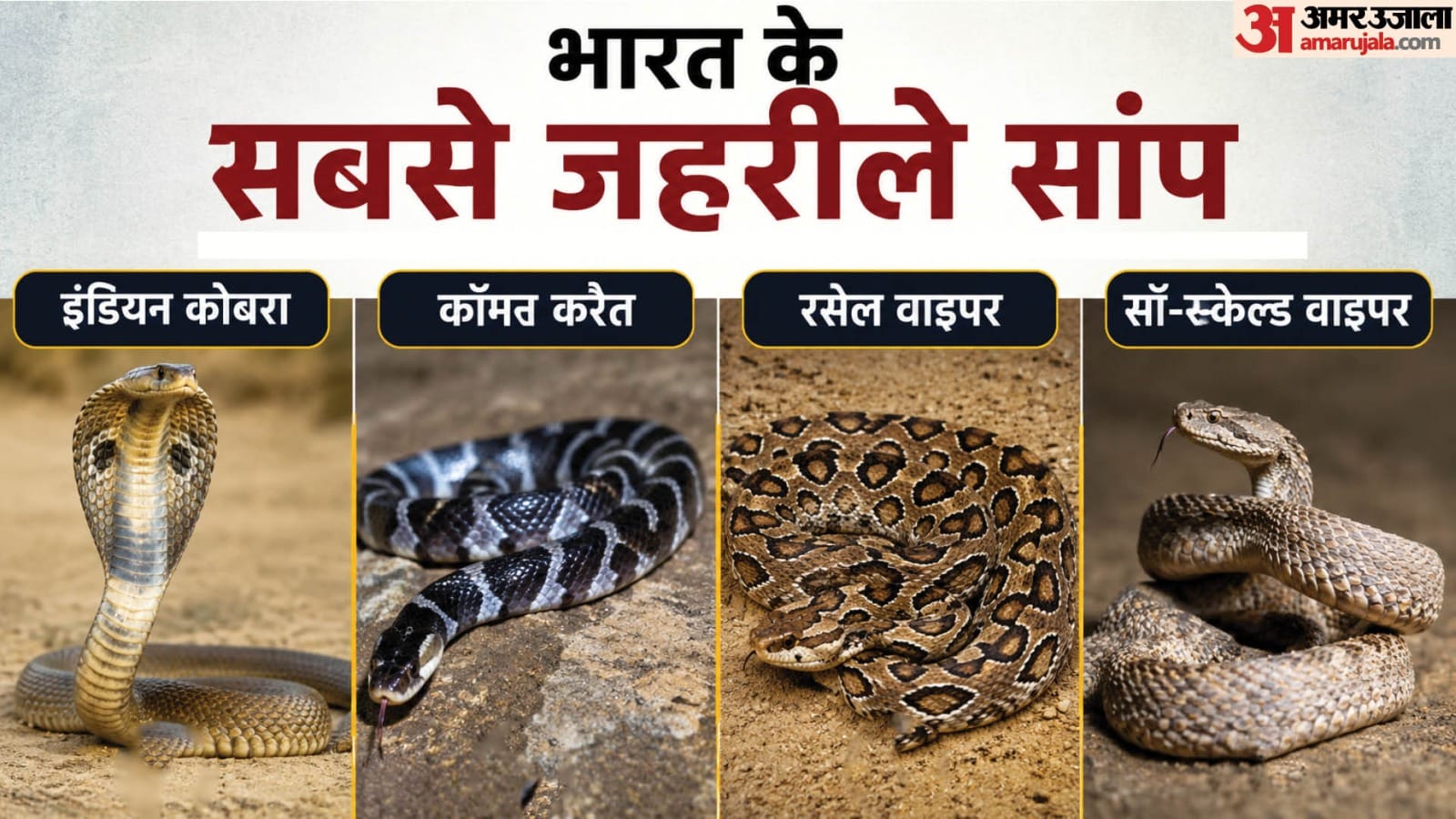 जहरीले सांप