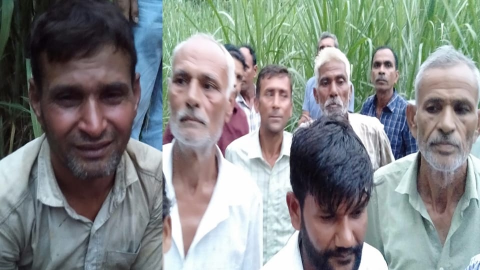 Bijnor: Elderly woman strangled to death; 'leopard killed her' claim raised