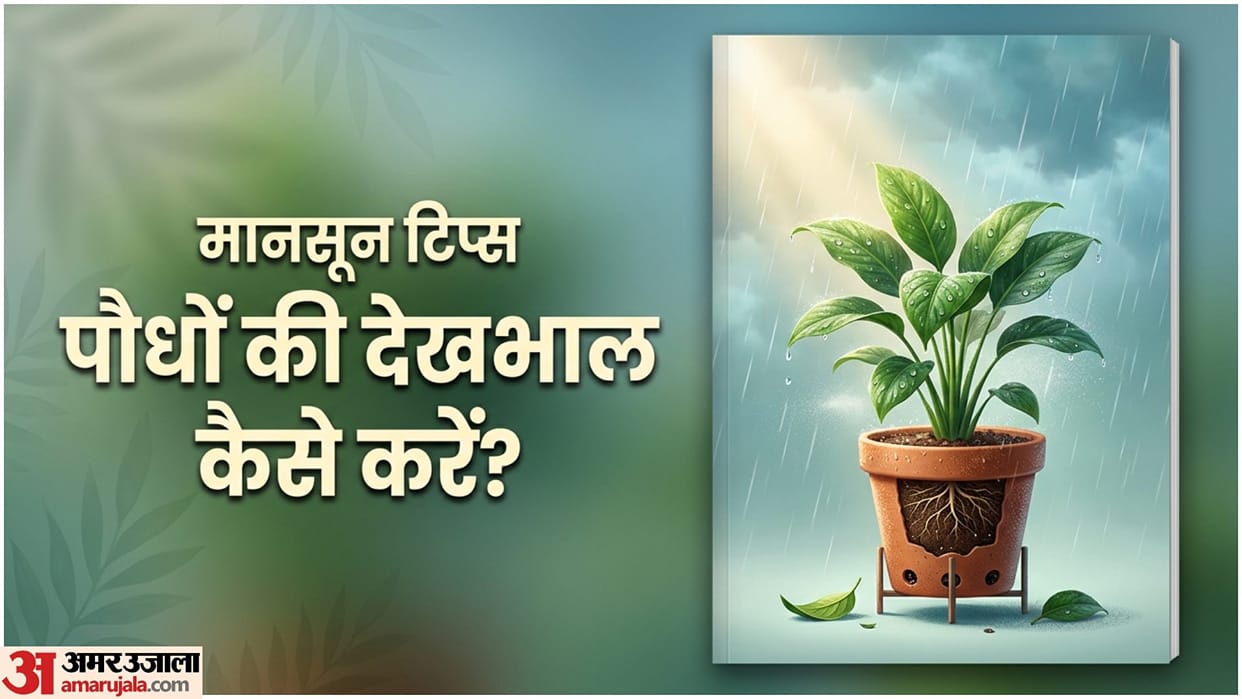 Gardening Tips Monsoon Plant Care In Hindi barish me konsa plant lagana chahiye