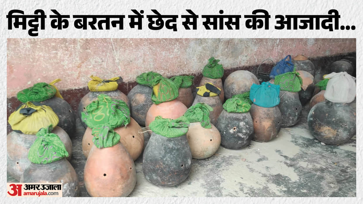 Nag Panchami Cruelty Snakes Face Defanging and Force-Feeding for Festival Performances