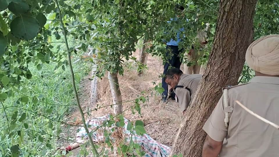 युवती की लाश बरामद