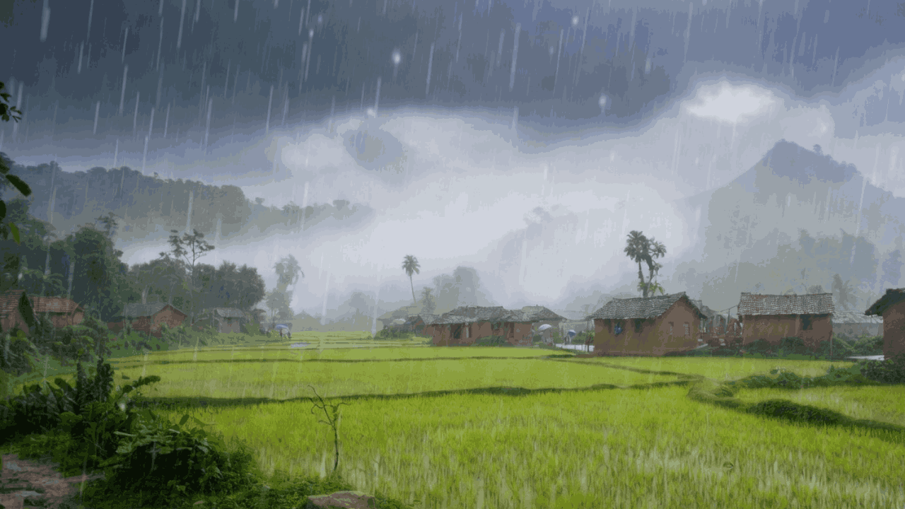 सांकेतिक तस्वीर