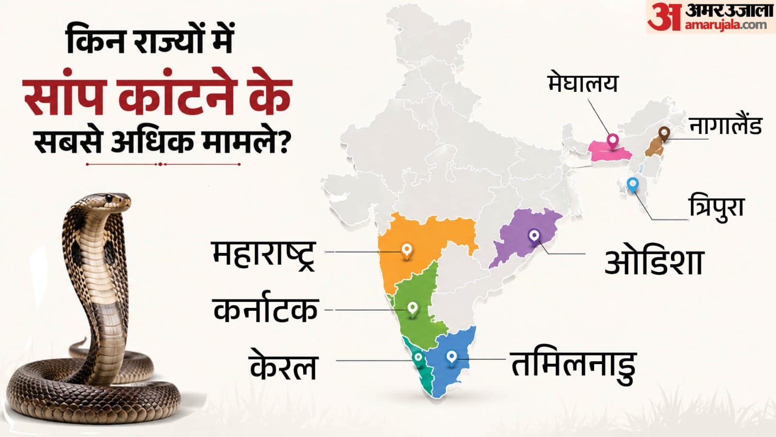 सांप काटने के मामले
