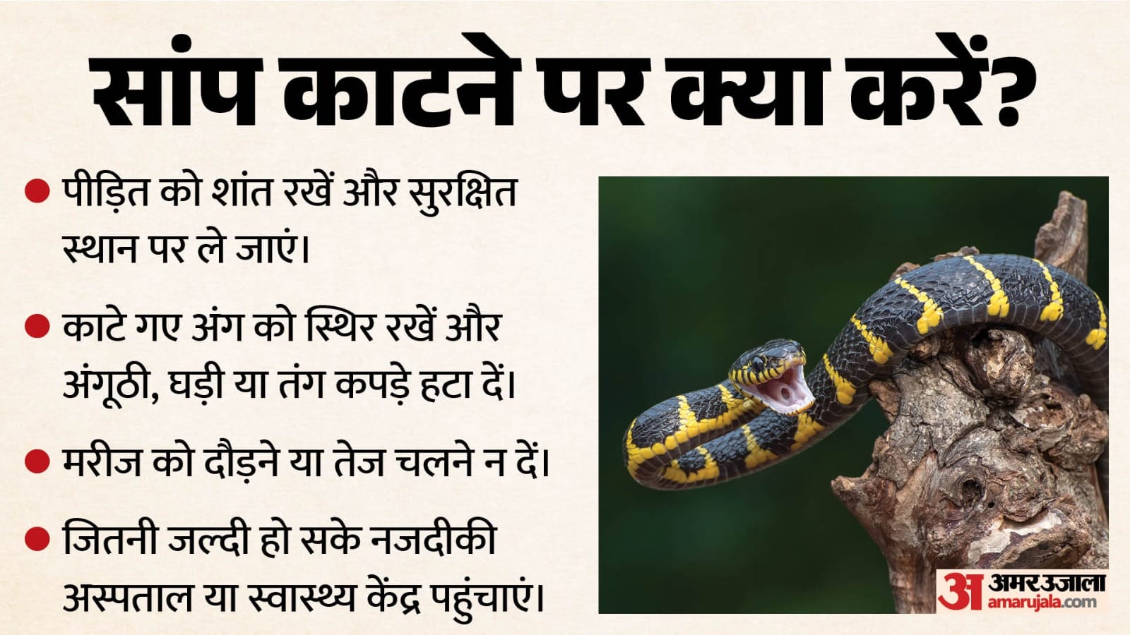 सांप काटने पर क्या करें
