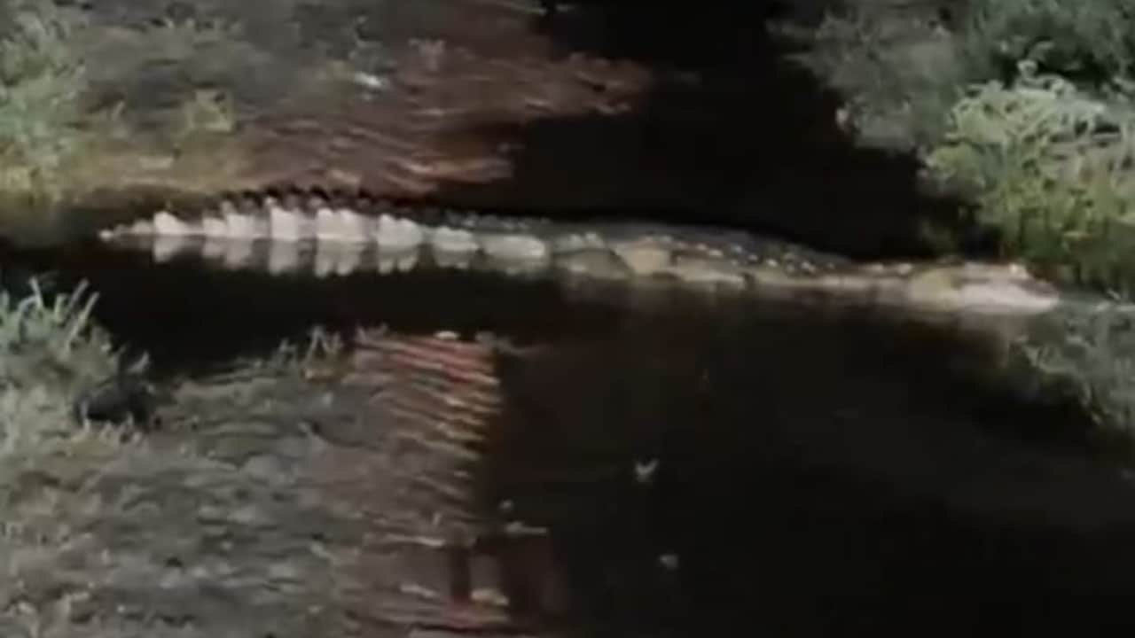 Sharda River water level crosses danger mark in Lakhimpur Kheri roads submerged in floodwaters