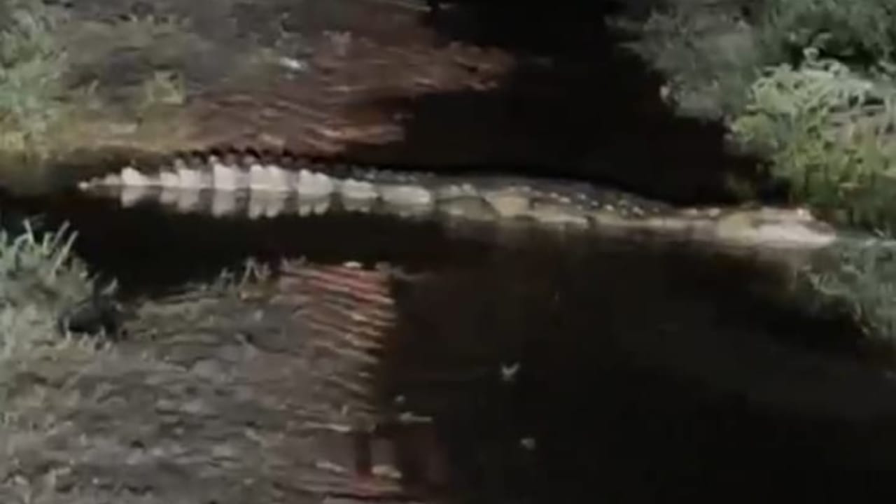Sharda River water level crosses danger mark in Lakhimpur Kheri roads submerged in floodwaters