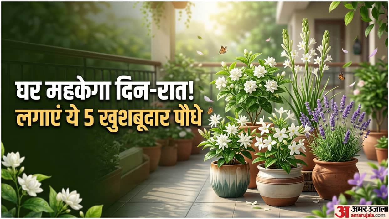 Monsoon Gardening Tips Best Fragrant Plants For Home In Hindi Ghar Ko Mehkane Wale Paudhe
