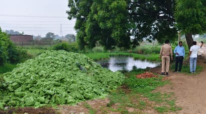 Kanpur PCB acknowledges that green colored debris found in Purvamir is hazardous samples sent for testing