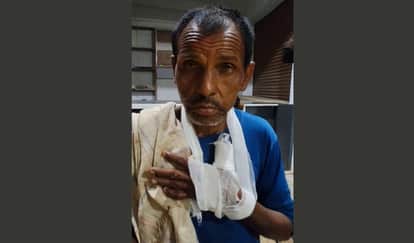 Kanpur Dogs bit 30 people in three days villagers killed one becoming aggressive due to infection