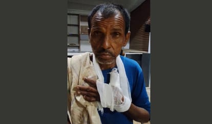 Kanpur Dogs bit 30 people in three days villagers killed one becoming aggressive due to infection