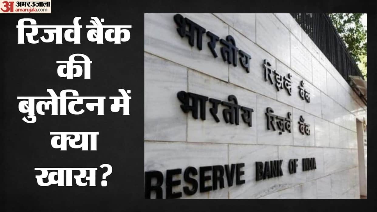 India's Economic Momentum Strong Amid Global Uncertainty: RBI
