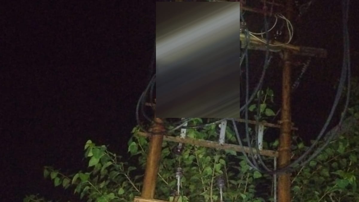 Rishikesh News: बिजली लाइन ठीक करते समय करंट की चपेट में आया आउटसोर्स लाइनमैन, मौके पर ही तोड़ दिया दम