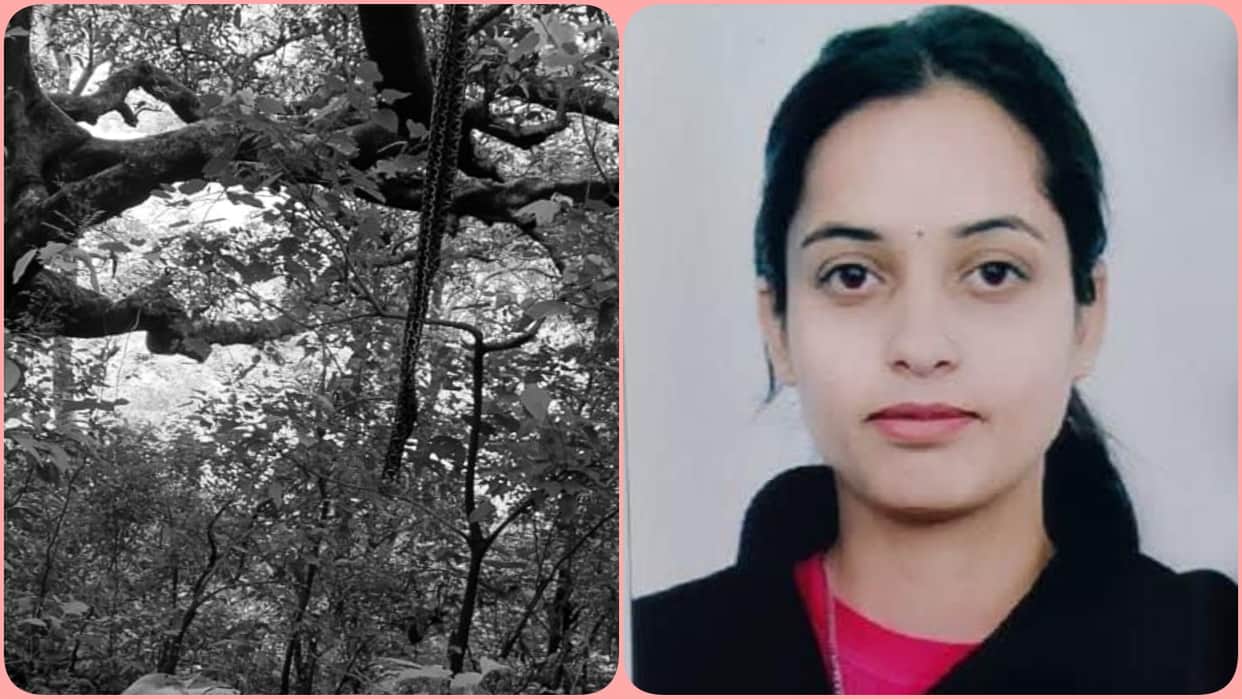 Una News: Missing Woman Vaishali Found Dead in Forest Near Amboya, Police Probe On