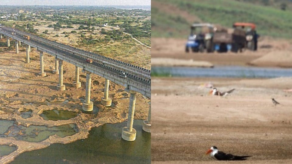 Supreme Court Cracks Down on Illegal Sand Mining in Chambal Calls for Strict Action