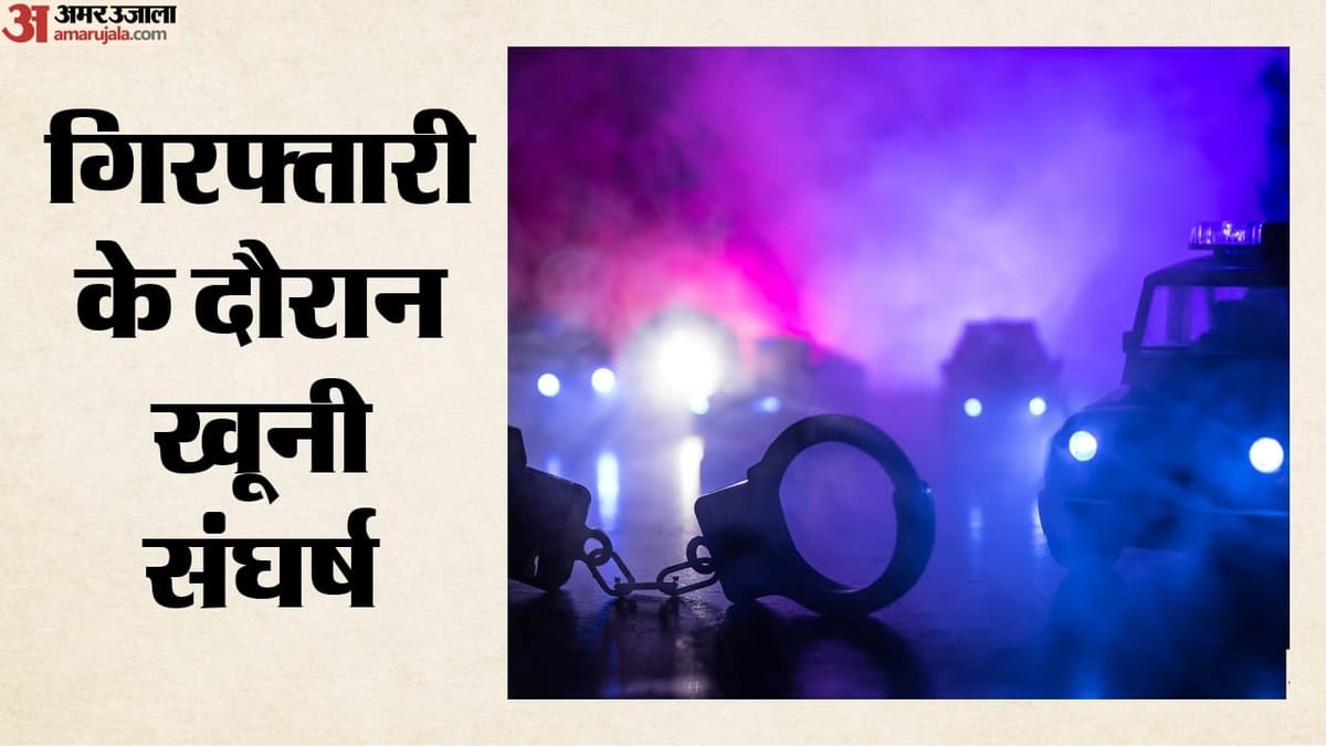 अमेरिका के मैडिसन में पुलिस पर फायरिंग: गिरफ्तारी के दौरान अधिकारी पर किया हमला, जवाबी कार्रवाई में