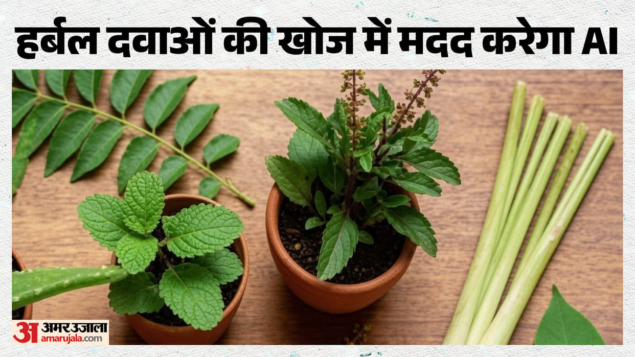 AI to reveal which plant holds a new and effective medicine; herbal drug research set to get an AI boost.