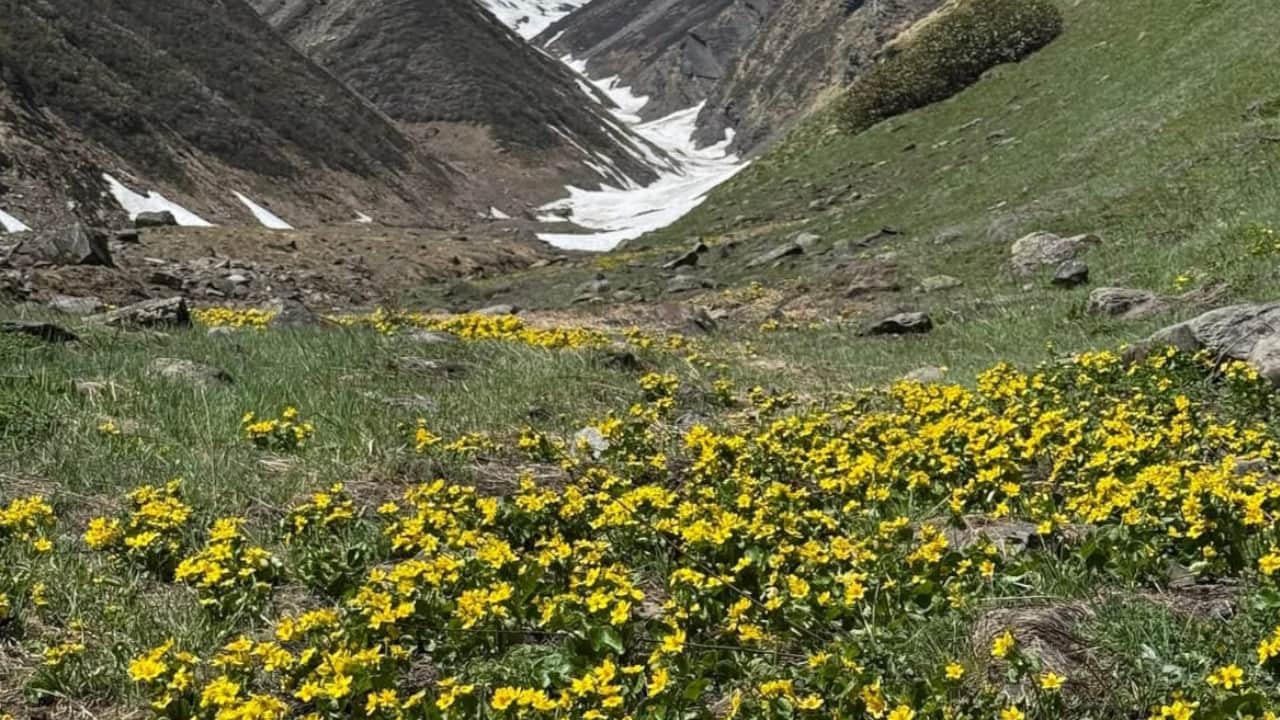 हर्षिल घाटी