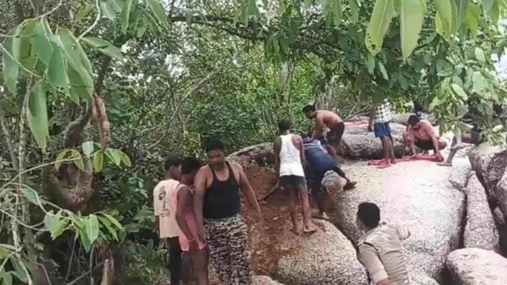 रेस्क्यू कर सुरक्षित निकाली गईं चार भैंसें