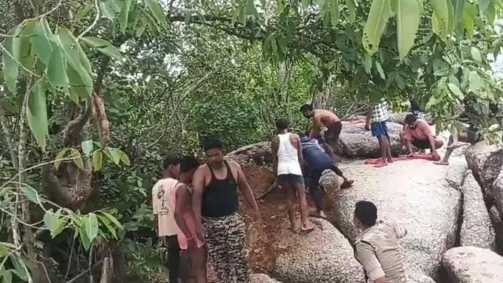 रेस्क्यू कर सुरक्षित निकाली गईं चार भैंसें