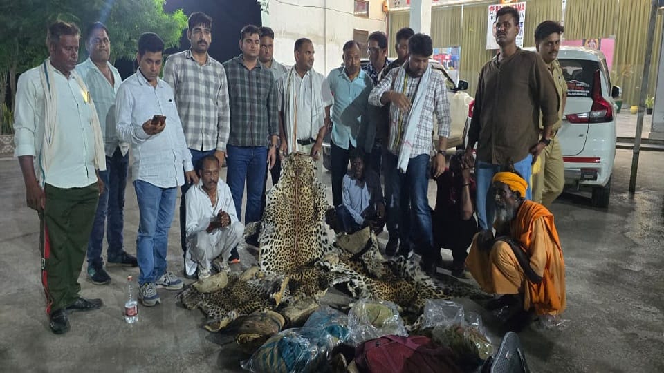 Probe Intensifies Into International Wildlife Trafficking Network After Leopard Skin Seizure in Agra