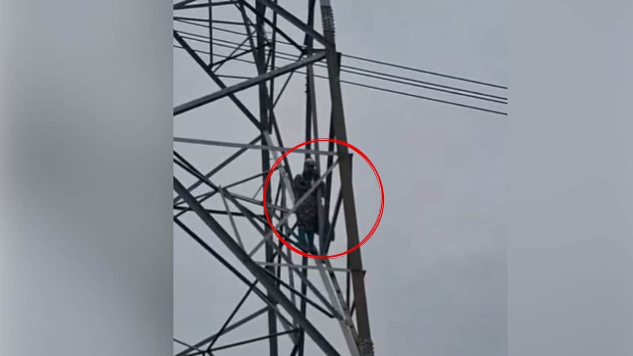 Young woman climbs high-tension tower in Ballia after lover refuses to marry her