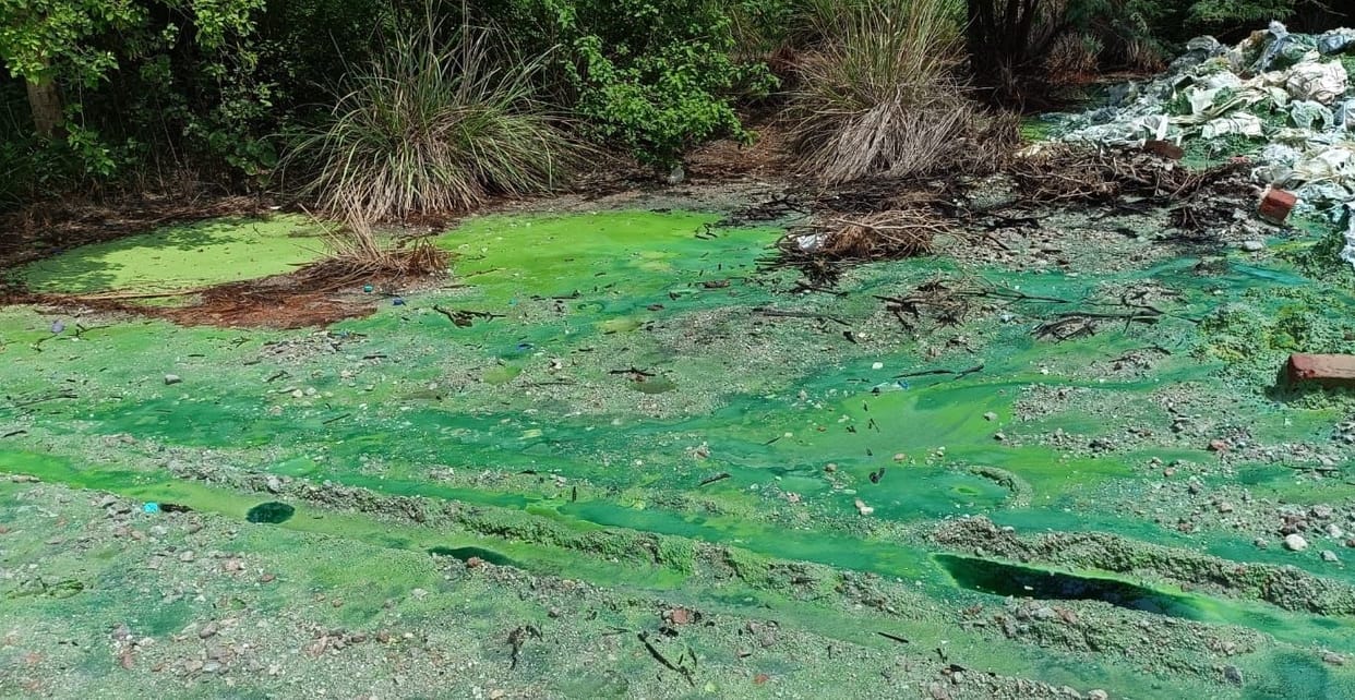 Kanpur Chromium laden waste reaches farmlands investigation report expected today
