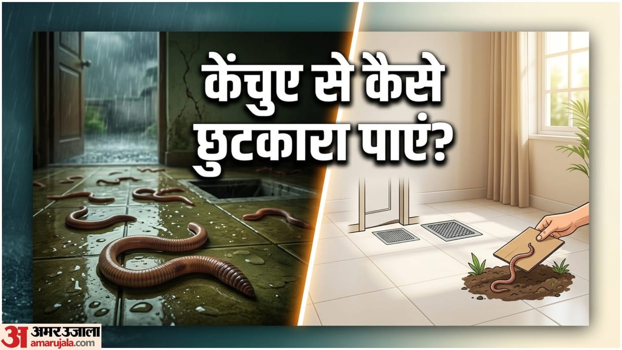 Rainy Season Earthworm Home Remedies Cleaning Tips Barish Me Kechua bhagane ke upay