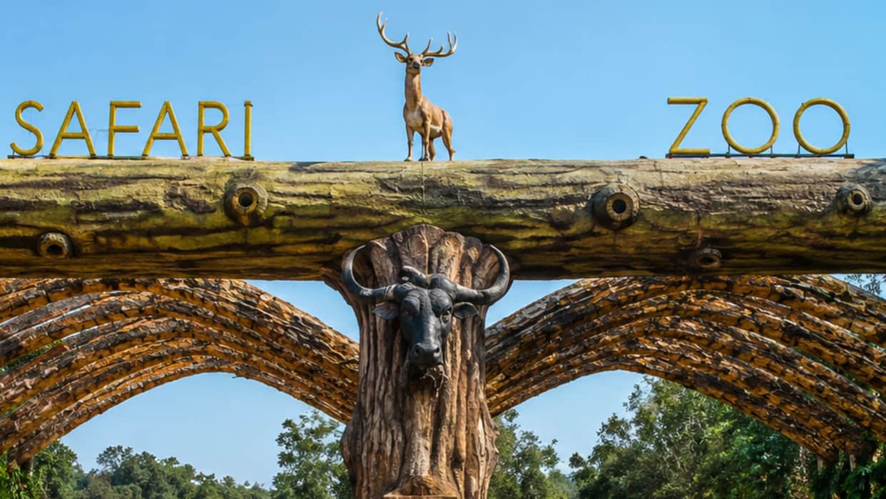 Chhattisgarh More than just a zoo experience true thrill of wildlife know about nandanvan jungle safari