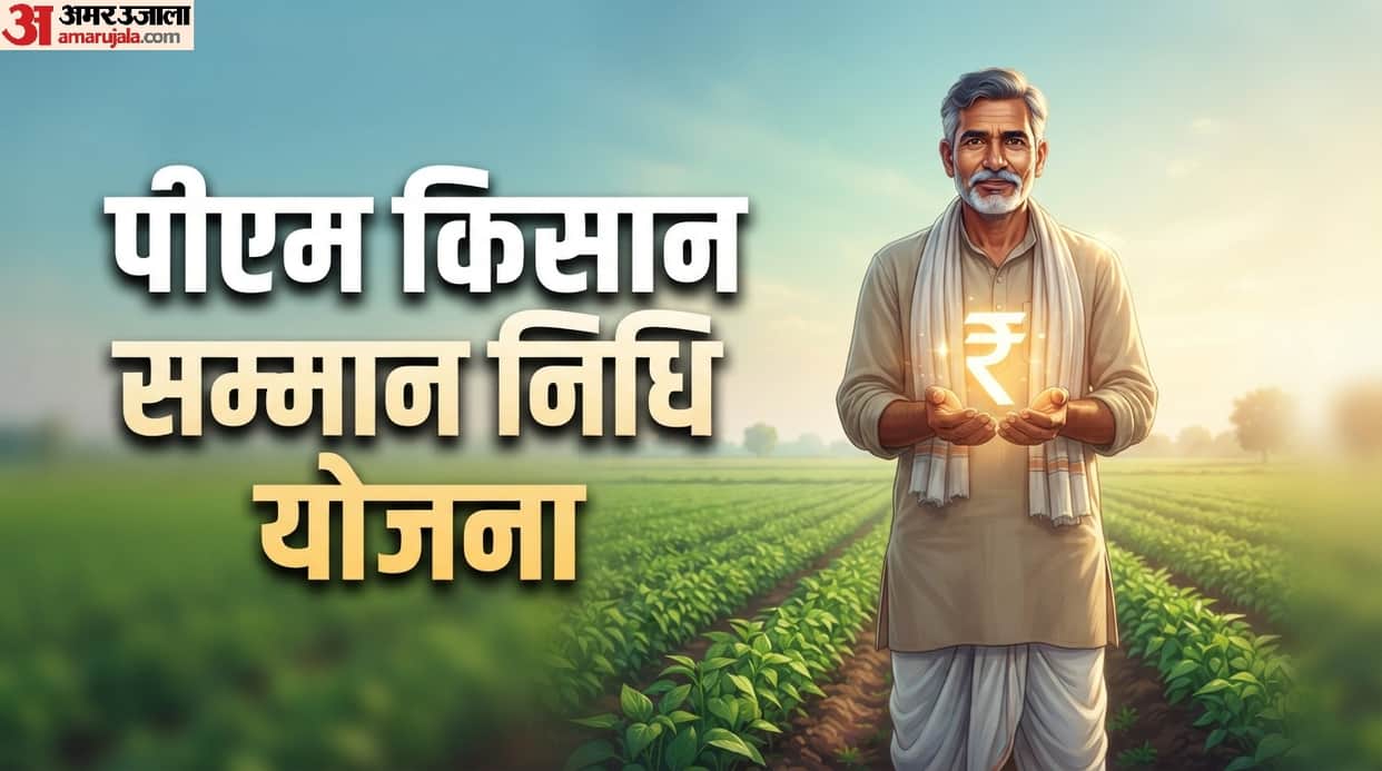PM Kisan Yojana: 24th Installment stuck reason check here