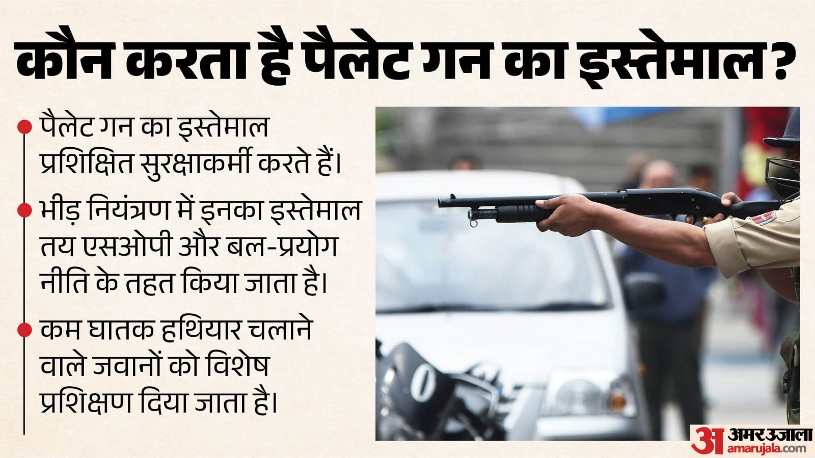 पैलेट गन