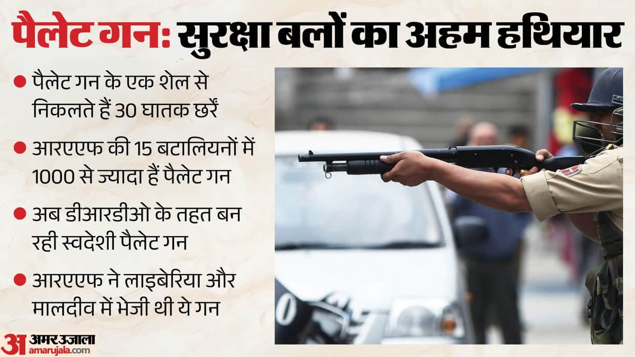 Delhi Protest Pellet Gun Row: Weapon Banned Under International Treaties, Procured in the 1990s