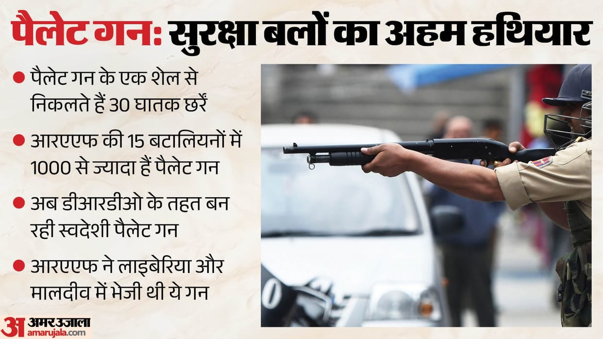 Delhi Protest Pellet Gun Row: Weapon Banned Under International Treaties, Procured in the 1990s