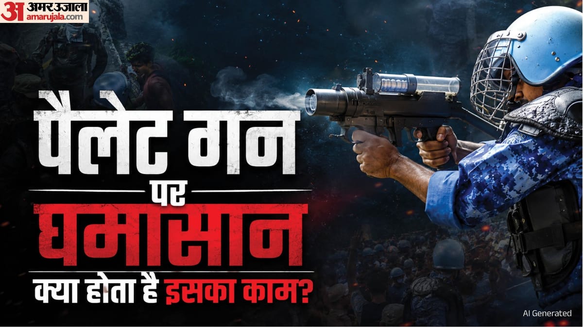 Pellet Gun Use In Delhi Row: पैलेट गन की बनावट, ट्रेनिंग में होगा बदलाव; जांच में वीडियो फुटेज