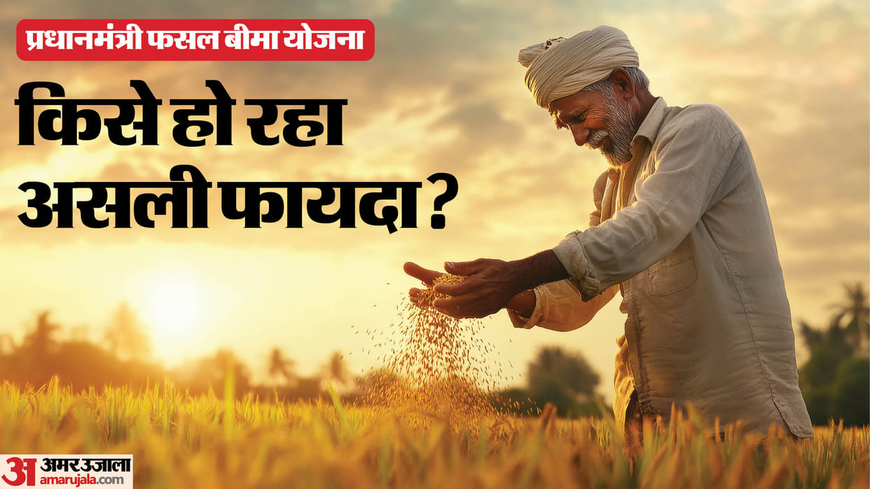 Rajasthan News: Crop Insurance Scheme Under Scanner as Insured Area Shrinks, ₹8,568 Crore Claims Remain Unpaid