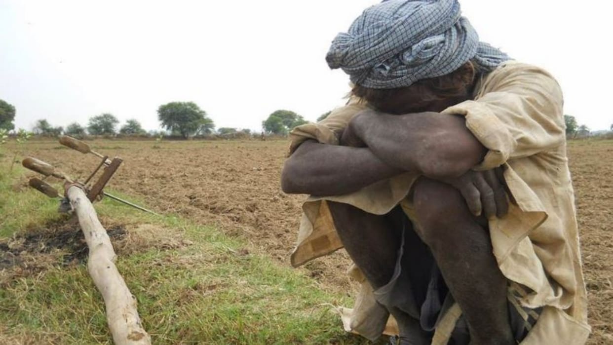 Farmers Allege Misleading by Bank Staff Over Crop Insurance, Compensation Denied