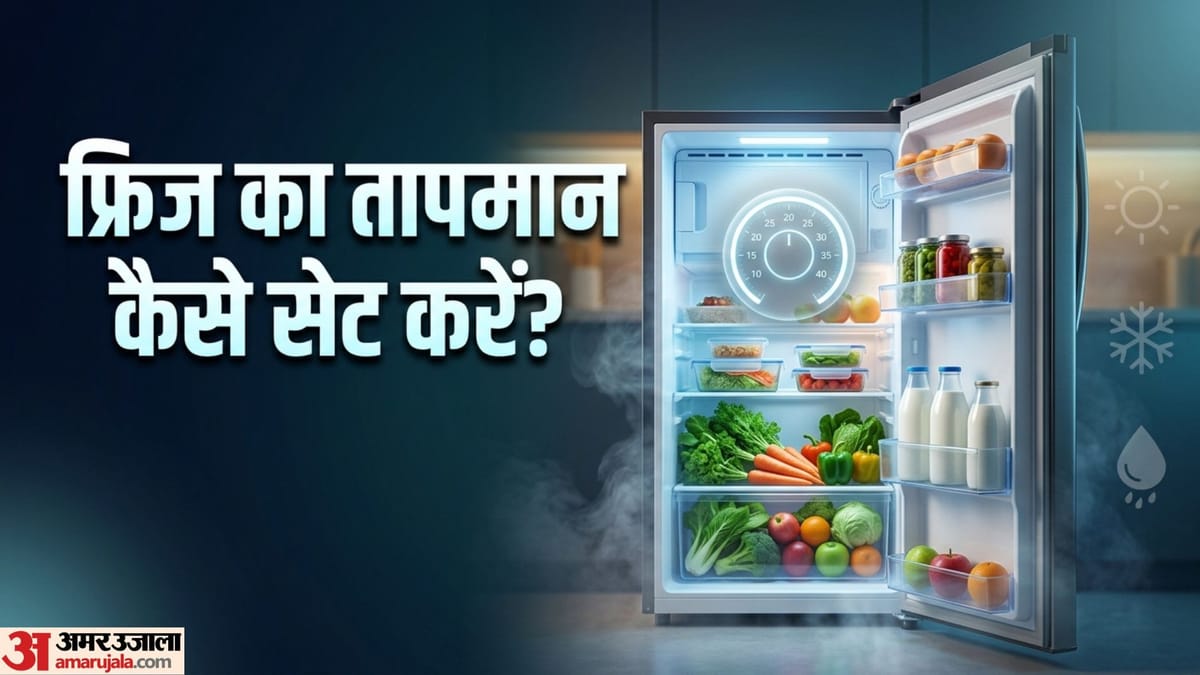 मौसम के हिसाब से फ्रिज का तापमान कैसे सेट करें? खाना भी रहेगा ताजा, बिजली की भी होगी बचत