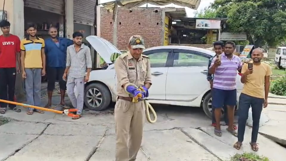 Meerut: Snake Rescued from Police Officer’s Car After Two-and-a-Half-Hour Operation