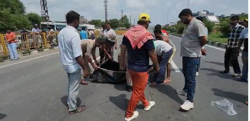 Roadways Bus Crushes Couple Crossing Road, Child Critically Injured in Mathura